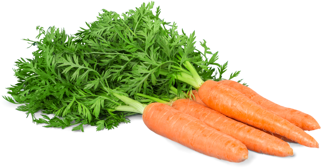 beautiful carrots